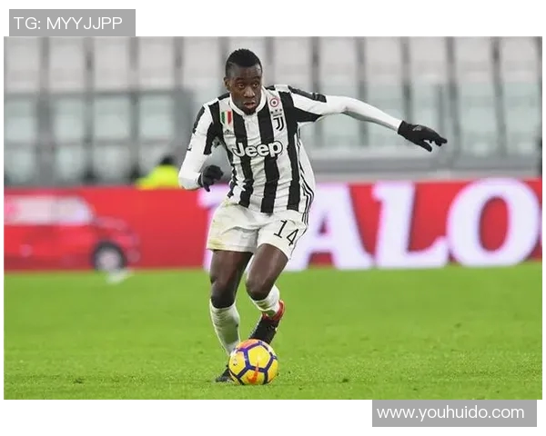 深入分析杭州排球队的进攻战术与策略演变之路