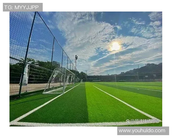 强大的足球草如何提升球场表现与运动员健康的全面解析